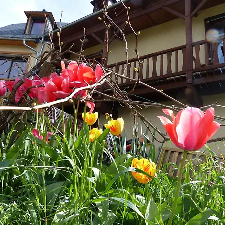 Bed & Breakfast D'hotes Vignes 3*